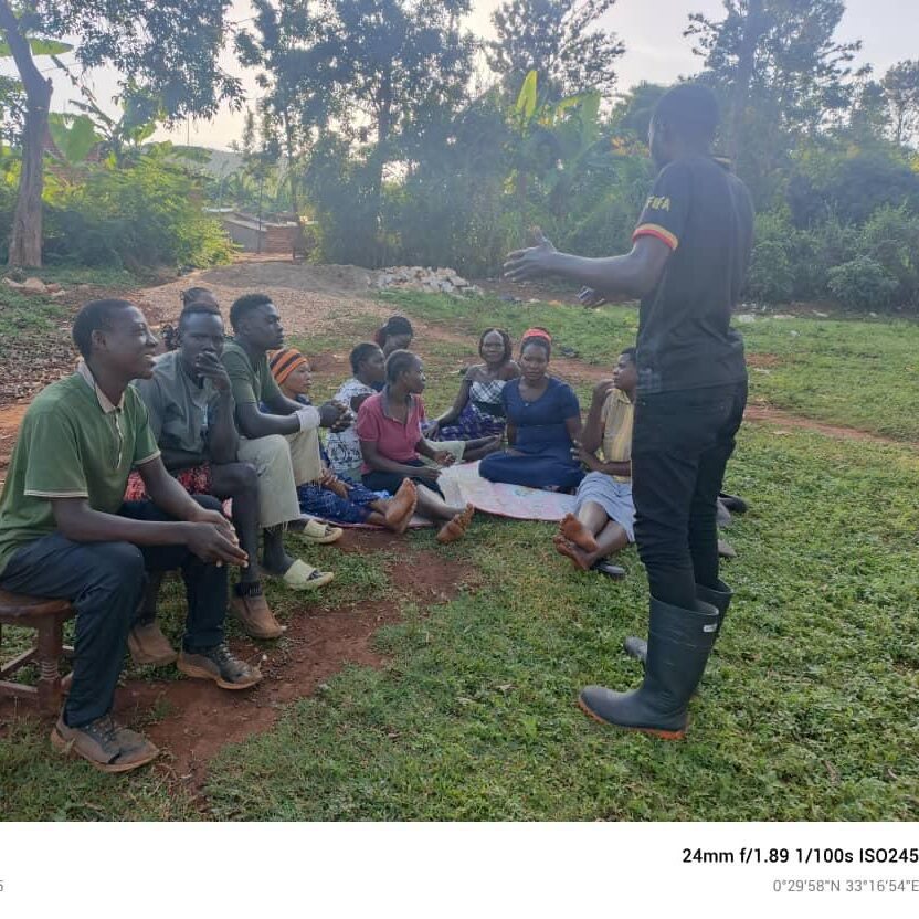 WhatsApp Image 2025-12-24 at 16.01.51 (1)